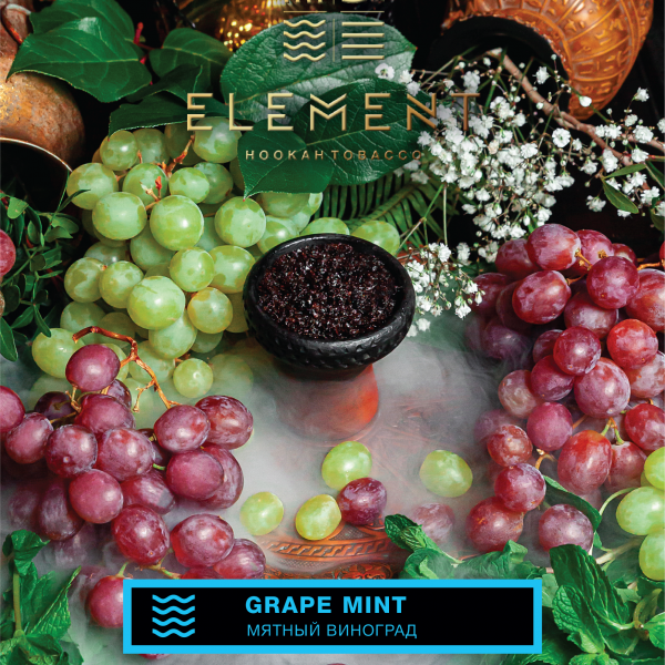 Купить Element ВОДА - Grape Mint (Виноград Мята) 25г