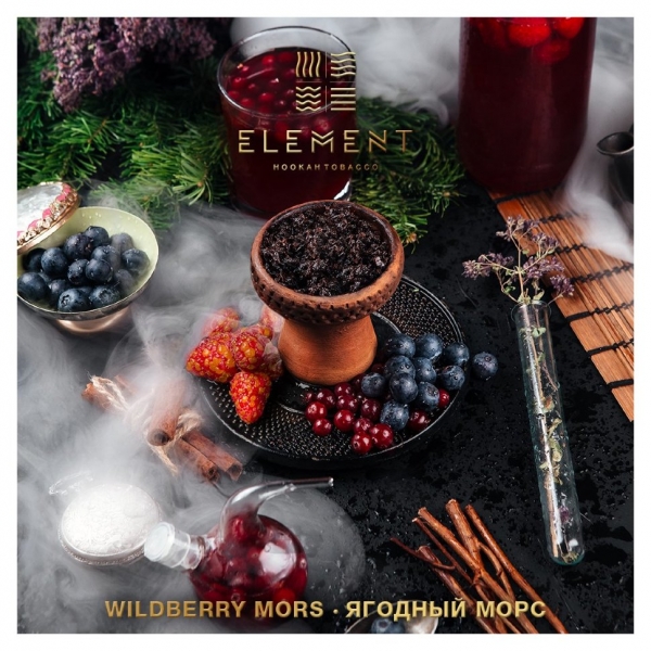 Купить Element ВОДА - Wildberry Mors (Ягодный морс) 200г