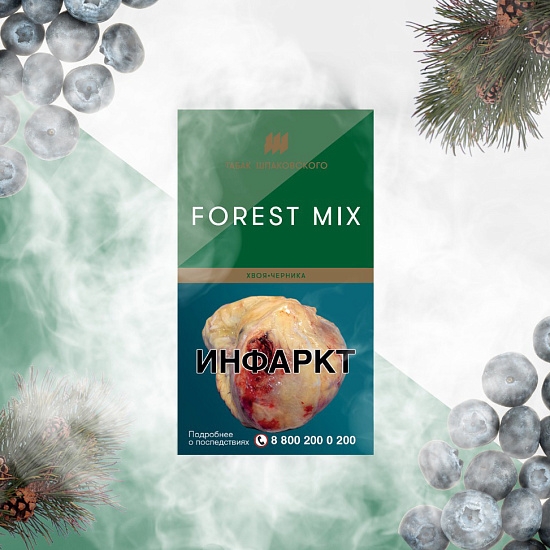 Купить Шпаковского - Forest Mix (Хвоя-Черника) 40г